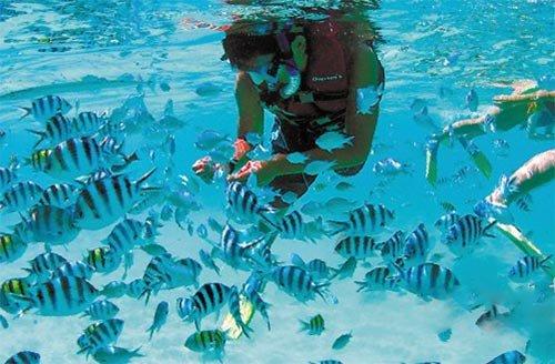 水系战士